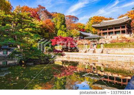 Seoul, Autumn at Changdeokgung Palace Secret Garden 133793214