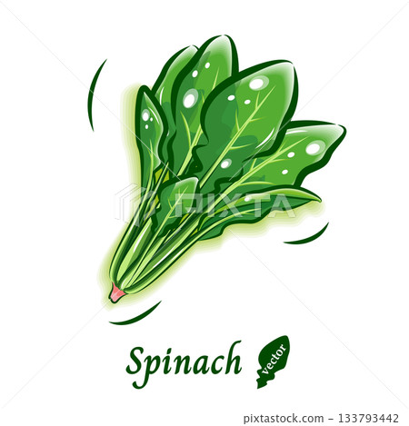 Spinach pop vector material | Fresh and cute vegetable illustrations Spinach pop vector material | Fresh and cute vegetable illustrations 133793442