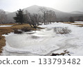 Winter landscape featuring a frozen pond with glistening ice texture reflecting sunlight, set against a backdrop of bare trees and a misty mountain 133793482
