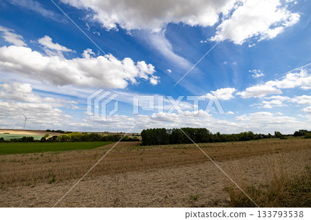 Epernay, Marne, Grand-Est, France, August, 28th, 2025, Champagne Area, Serene rural landscape, Open 133793538