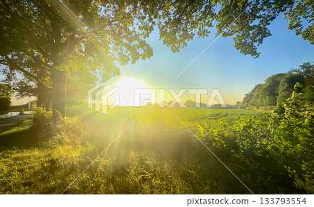 Radiant sunlight over lush grass and distant agricultural land Radiant sunlight over lush grass and distant agricultural land 133793554