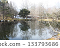 Mirror-like lake in the woods reflecting the trees and sky. Serene nature landscape in Japan 133793686