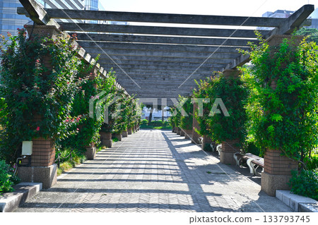 橫濱山下公園景色 133793745