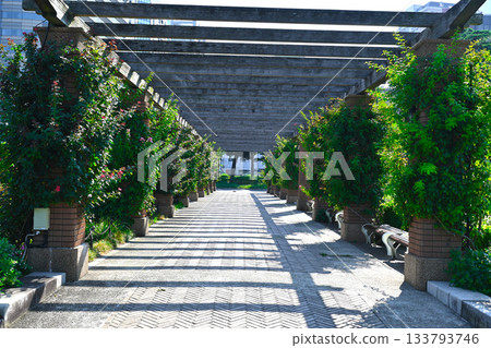 橫濱山下公園景色 133793746