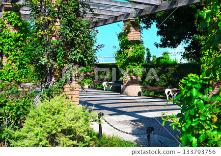 View of Yamashita Park, Yokohama 133793756