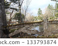 Close-up detail of an old mossy concrete bridge railing with a blurred pond background in a park 133793874