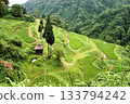 新潟縣十日町市松野山的留壽原梯田 133794242