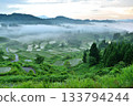 新潟縣十日町市松之山星峠的梯田，黎明前 133794244