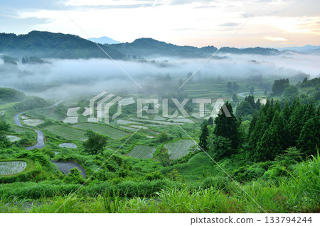Rice terraces at Hoshitoge Pass, Matsunoyama, Tokamachi City, Niigata Prefecture, before dawn Rice terraces at Hoshitoge Pass, Matsunoyama, Tokamachi City, Niigata Prefecture, before dawn 133794244