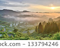 新潟縣十日町市松之山星峠的稻田上，晨曦透過雲層灑在雲間。 133794246