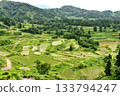 新潟縣十日町市松之山町星峠梯田。霧散後的梯田景色。 133794247