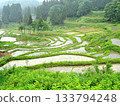 新潟縣十日町市松野山新田的梯田 133794248