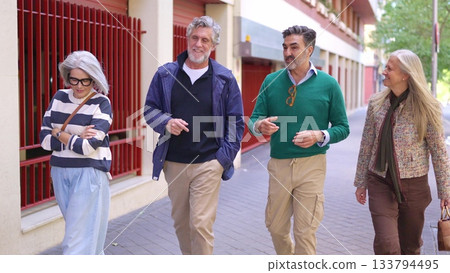 Two senior men talking while walking outdoors 133794495