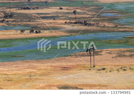 Aerial view of the Okavango Delta Aerial view of the Okavango Delta 133794991