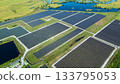 Drone shot aerial view solar energy array provides renewable power in large scale facility surrounded by greenery and water in rural place. Solar farm at the countryside 133795053