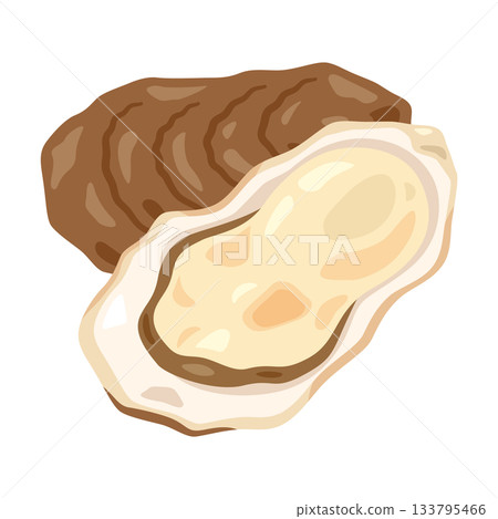 牡蠣殼的插圖 133795466