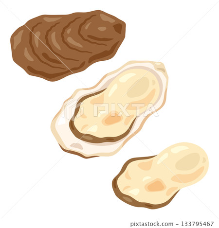 牡蠣插圖集 133795467