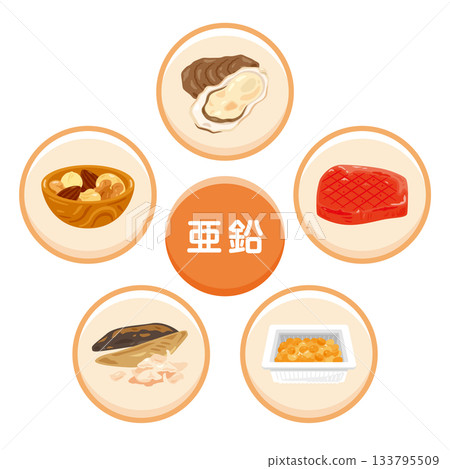 Illustration set of foods rich in zinc (Japanese) 133795509