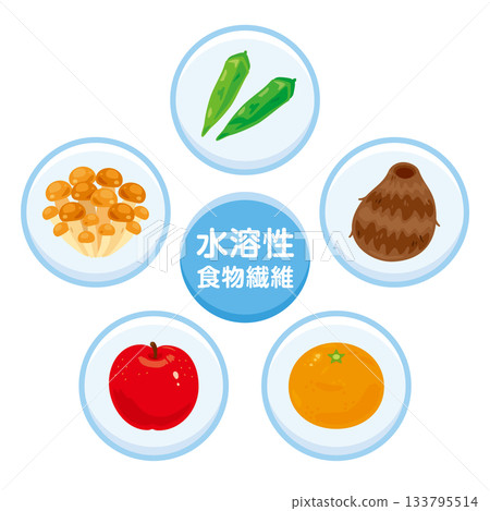 Illustration set of foods rich in soluble dietary fiber (Japanese) Illustration set of foods rich in soluble dietary fiber (Japanese) 133795514
