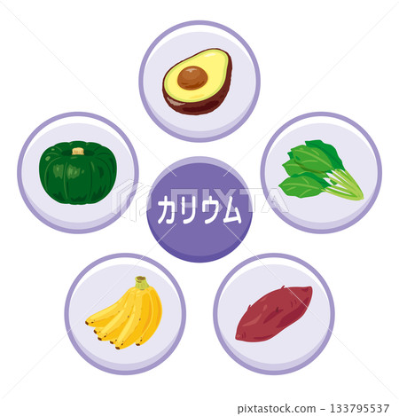 一組富含鉀的食物插圖（日本） 133795537