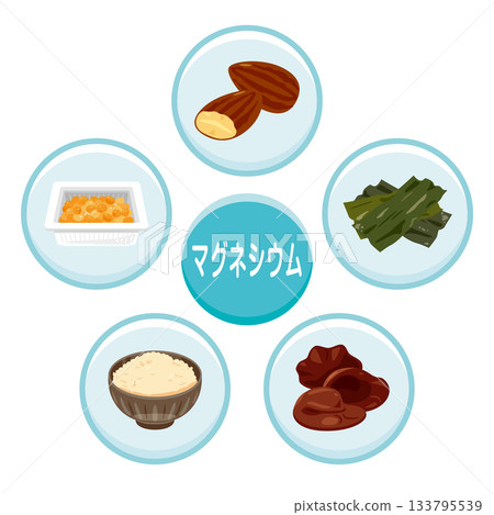 Illustration set of foods rich in magnesium (Japanese) 133795539