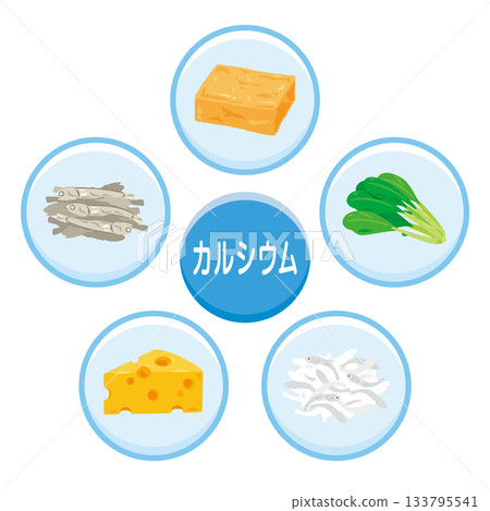 Illustration set of foods rich in calcium (Japanese) 133795541