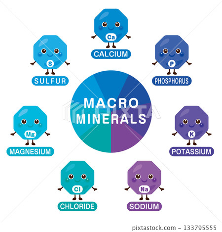 Character illustration set of macrominerals in Japanese Character illustration set of macrominerals in Japanese 133795555