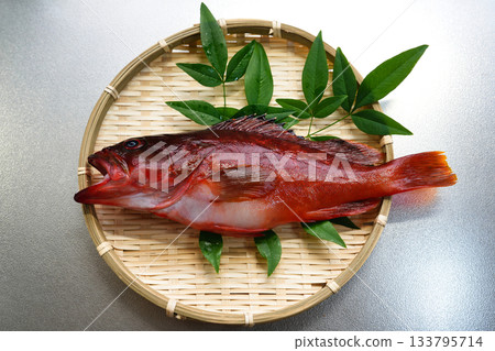 新鮮時令紅鯛魚 133795714