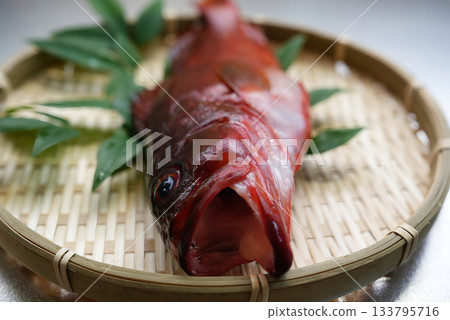 新鮮紅鯛魚嘴部的特寫 新鮮紅鯛魚嘴部的特寫 133795716