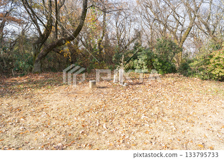 The summit of Shiroyama in the Kureha Hills (Toyama City, Toyama Prefecture) The summit of Shiroyama in the Kureha Hills (Toyama City, Toyama Prefecture) 133795733