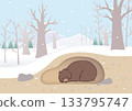Hibernating Bear 133795747