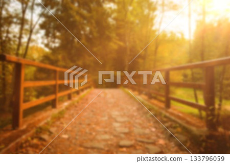 Walkway by trees against sky 133796059