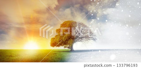 Autumn changing into Winter 133796193