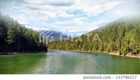 Idyllic view of river amidst forest Idyllic view of river amidst forest 133796317