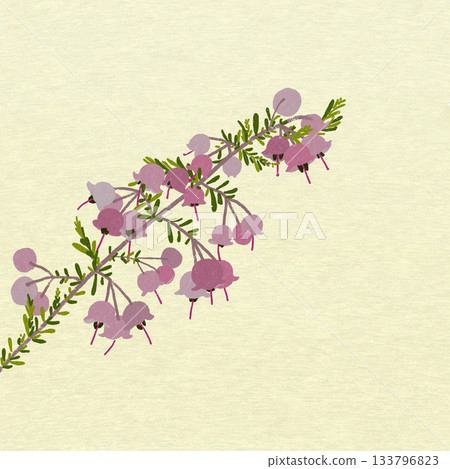 Janome Erika Janome Erika 133796823