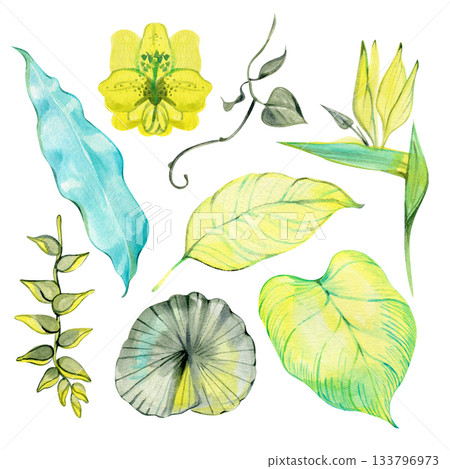 Set of lush greenery of tropical plants. Hand-drawn watercolor elements great for summer design of posters, cards decoration, invitations and other. 133796973