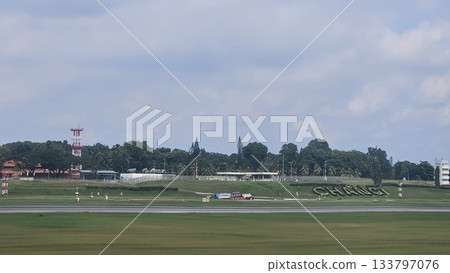 Changi Airport lush greenery spells its name beside a busy runway Changi Airport lush greenery spells its name beside a busy runway 133797076
