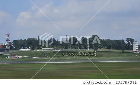 Changi Airport lush greenery spells its name beside a busy runway 133797081