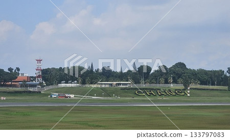 Changi Airport lush greenery spells its name beside a busy runway Changi Airport lush greenery spells its name beside a busy runway 133797083