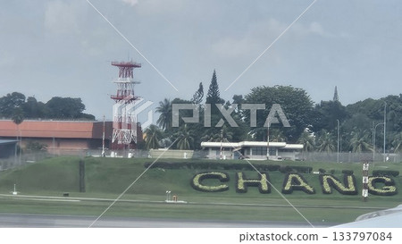 Changi Airport lush greenery spells its name beside a busy runway Changi Airport lush greenery spells its name beside a busy runway 133797084