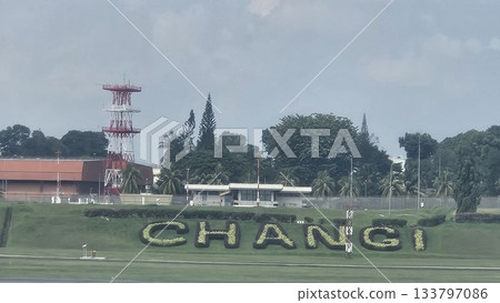 Changi Airport lush greenery spells its name beside a busy runway 133797086