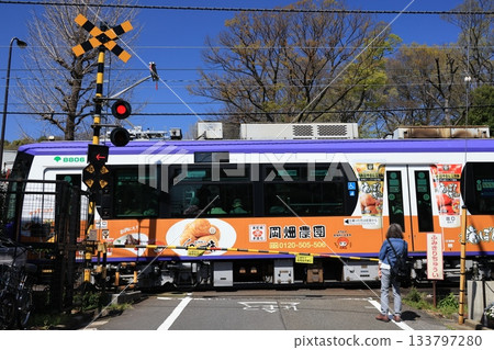 東京櫻花電車駛過鐵路道口 133797280