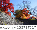 盛岡城堡秋葉公園廢墟 133797317