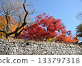 盛岡城堡秋葉公園廢墟 133797318