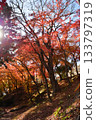 盛岡城堡秋葉公園廢墟 133797319