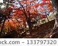 盛岡城堡秋葉公園廢墟 133797320