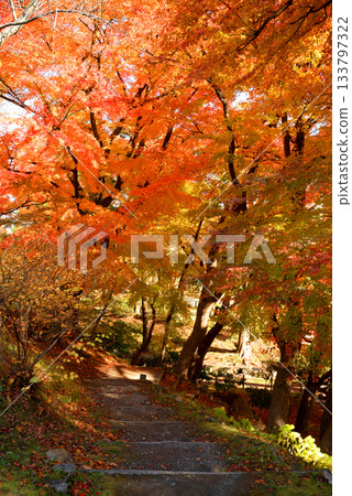 盛岡城堡秋葉公園廢墟 133797322
