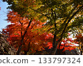 盛岡城堡秋葉公園廢墟 133797324