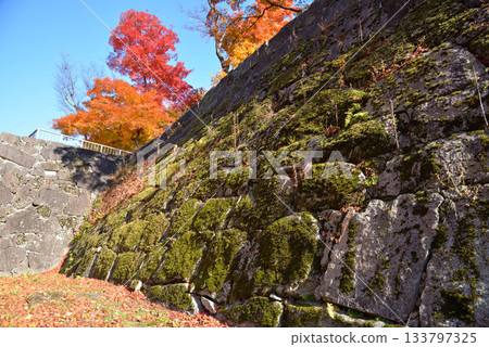 Autumn leaves of Morioka castle ruins park Autumn leaves of Morioka castle ruins park 133797325