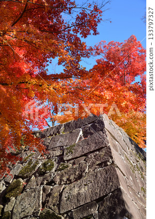 Autumn leaves of Morioka castle ruins park Autumn leaves of Morioka castle ruins park 133797327